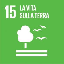 15 LA VITA SULLA TERRA