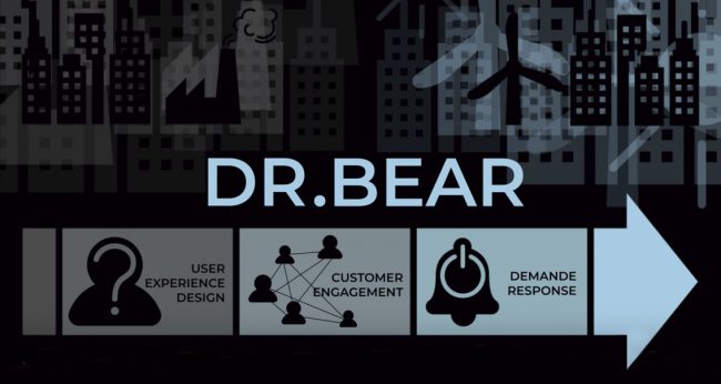 Dr Bear