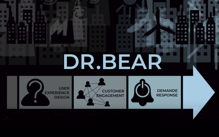 Dr Bear