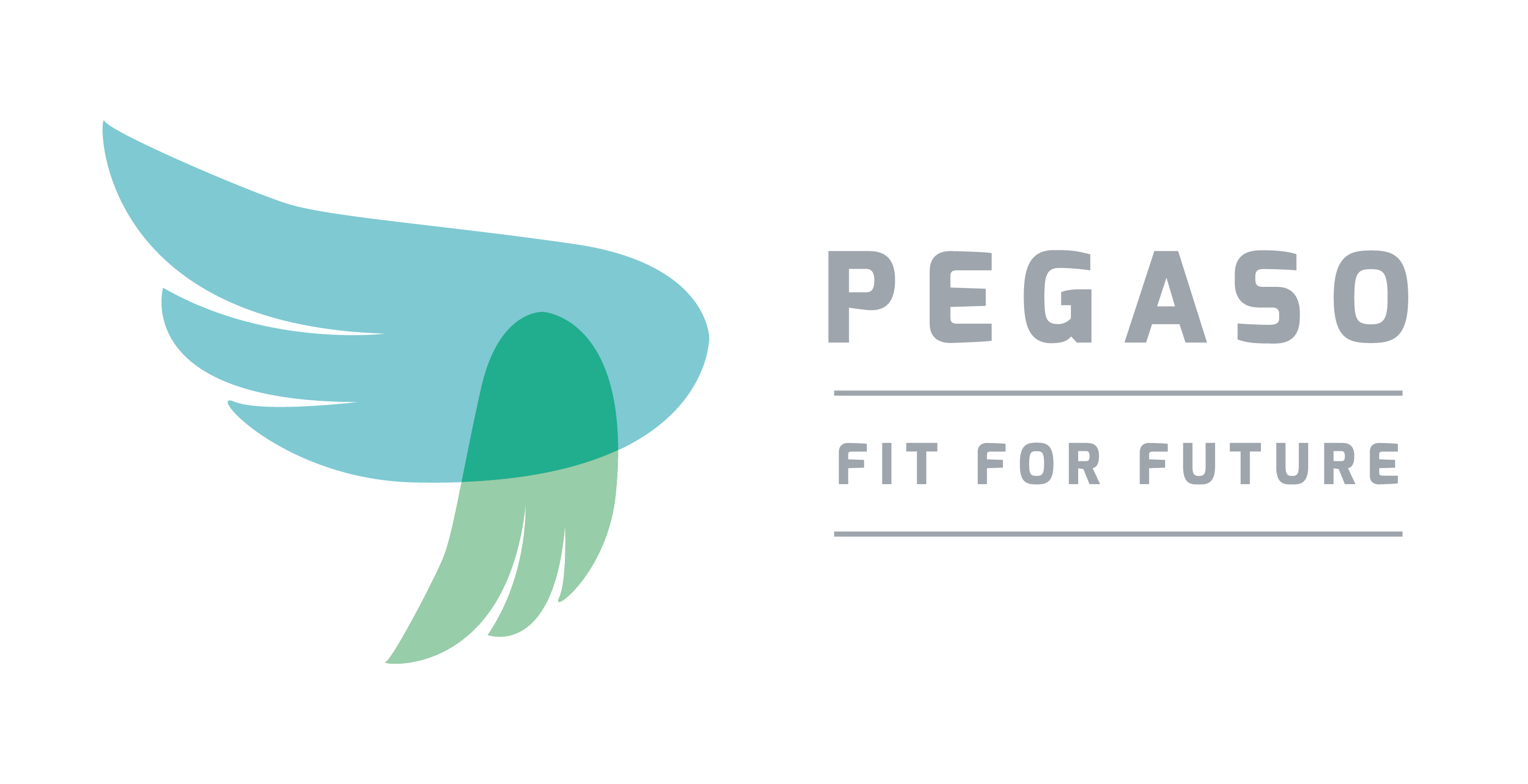 PEGASO A system for the promotion and adoption of correct lifestyles
